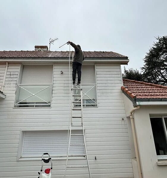 Traitement antimousse toiture